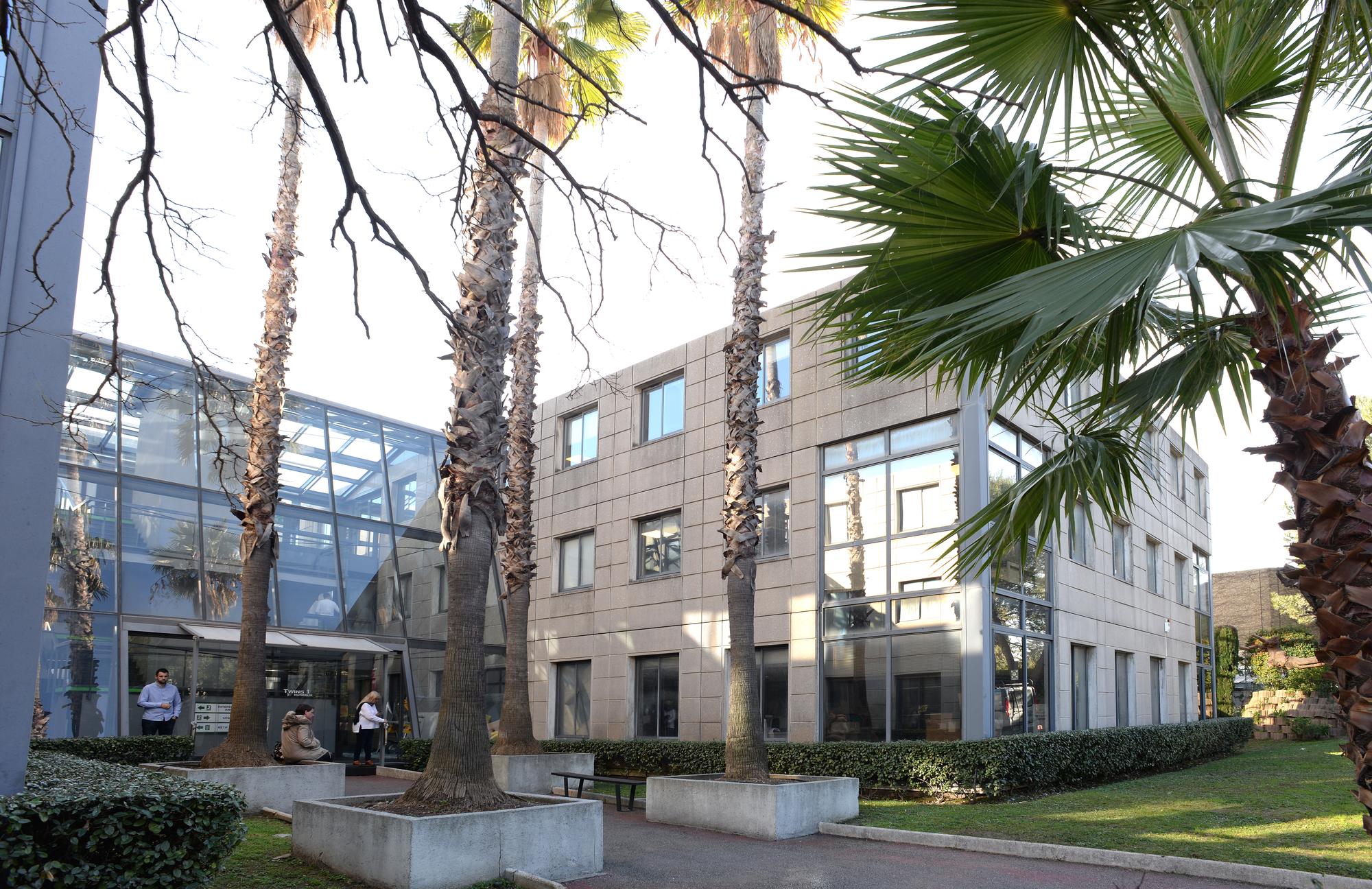 Le patio de Twins 1 à Villeneuve-Loubet, ses palmiers et le hall vitré de l'immeuble de bureaux